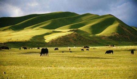 The Tibetan Plateau advanced in stages
