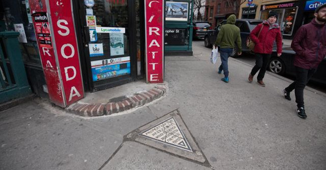 The tiny piece of private land is only 0.32m2 wide in the US city