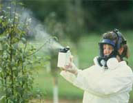 The toxic chemicals can cause genetic diseases