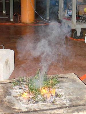 The toxic chemicals were discovered in the fire and smoke of the forest