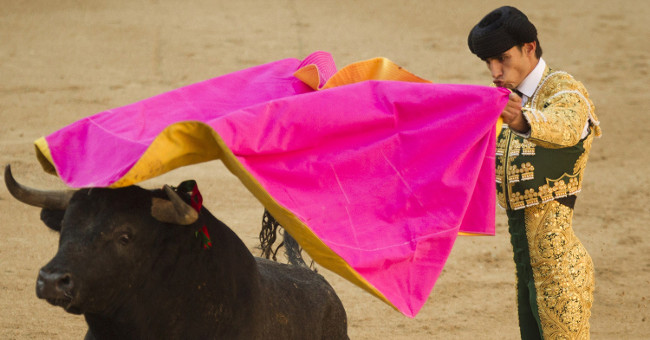 The tragedy of bulls in matches