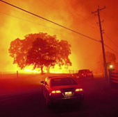 The tragedy of climate change