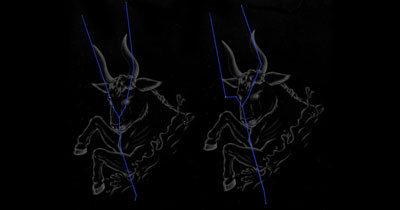 The transformation of the constellations in the future