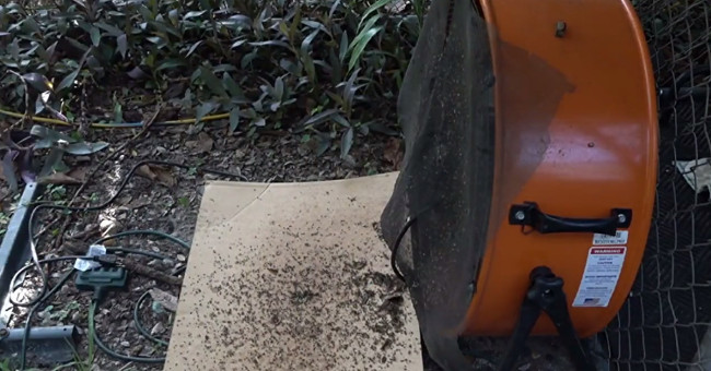The trap can destroy 4,000 mosquitoes every night