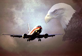 'The treasure' helps the plane avoid birds
