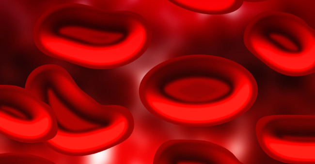 The truth about blood type in your body