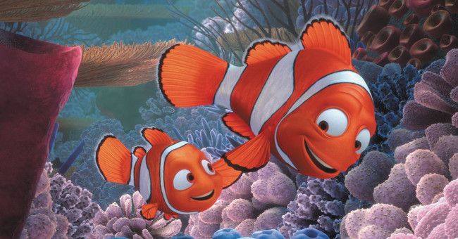 The truth about 'Finding Nemo': Marlin's paw will be transgender soon after the mother's fish dies