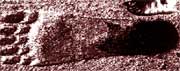 The truth about giant footprints