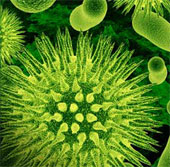 The truth about 'sex virus' is more dangerous than AIDS