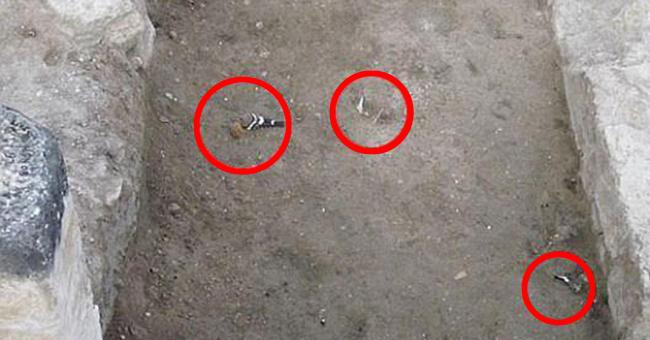 The truth about the temple of death, killing any living creature is near