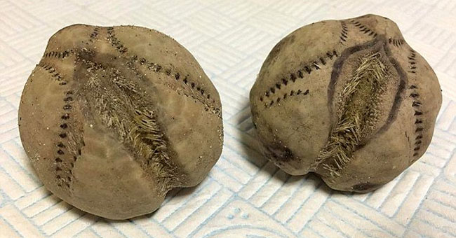 The truth behind a strange object like a giant baseball appeared on the coast