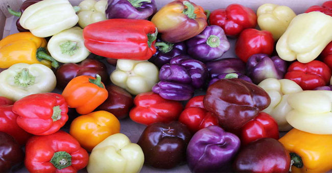 The truth that you didn't expect about the color of bell peppers