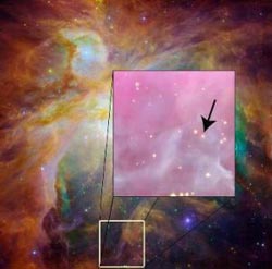 The twin twin stars are very different