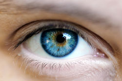 The type of blinking exposes the liar