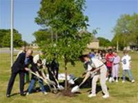The UN launched a campaign to plant 1 billion trees