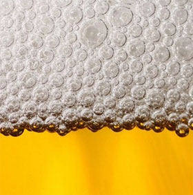The unexplored truth about beer