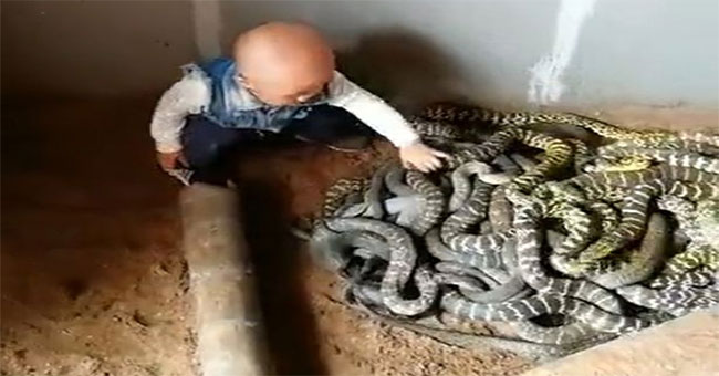 The unidentified boy plays a snake like a toy in China