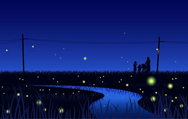 The unique gift of fireflies