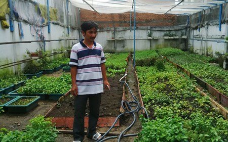 The unique vegetable irrigation system in Vietnam