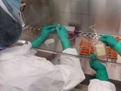 The United States developed a new vaccine against melanoma