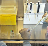 The United States prepares to prepare a vaccine against H7N9 influenza virus