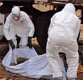 The University of Geneva continues to test the Ebola virus vaccine