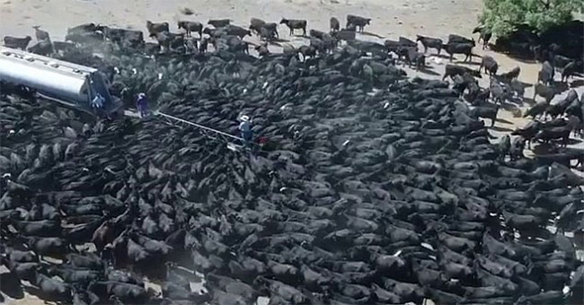 The unprecedented drought in Australia creates this strange scene
