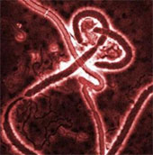 The US admits Ebola can spread in the air