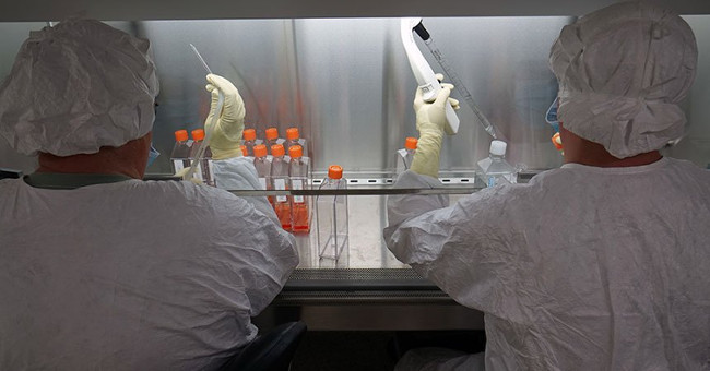 The US began testing Zika vaccine on humans