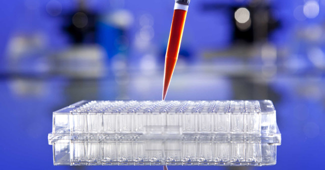 The US company intends to make blood that can cure diseases