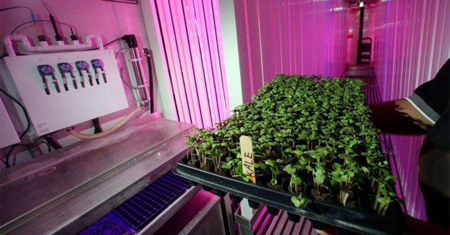 The US grows vegetables on a submarine