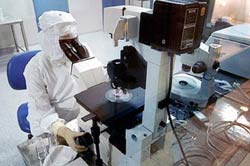 The US House of Representatives adopted the bill: Supporting stem cell research