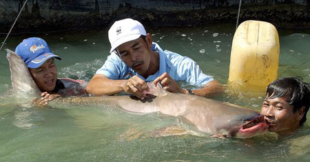 The US supported the postponement of the construction of the Lao hydroelectric dam