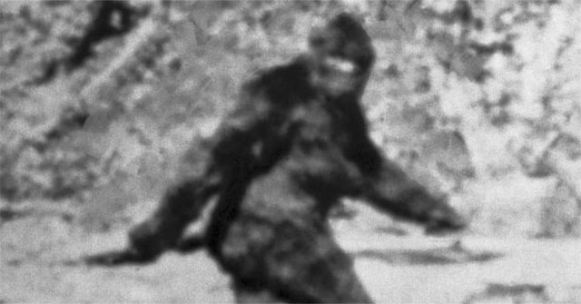 The video of Bigfoot's strange howl is appearing, proving that this magical creature really exists