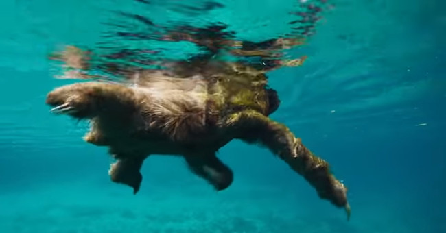 The videos remind you how beautiful nature is
