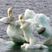 The volume of ice in the Arctic drops to a record low
