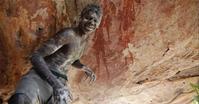 The wasps' hives help determine the age of cave paintings in Australia