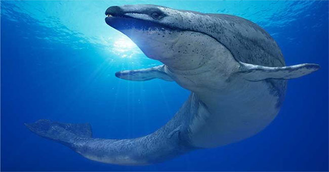 The 'whale' is about the size of a dinosaur