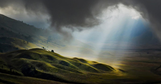 The whisper of nature