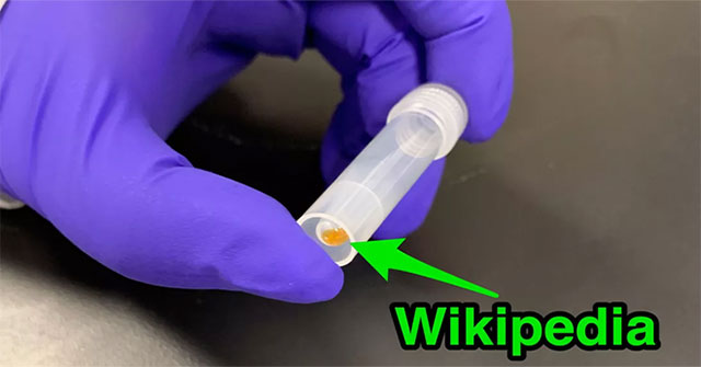 The whole 16GB of English Wikipedia is stored on DNA, which is in this test tube