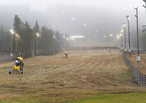 The winter is unusually warm in northern Europe
