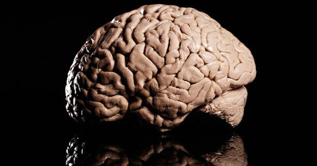 The work on the 'prize mechanism' in the brain won 1 million Euro prize