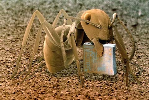 The world goes through an electron microscope