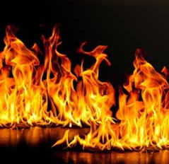 The world has a record hot January