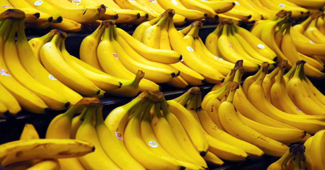 The world is going to have to stop bananas in the next decade?