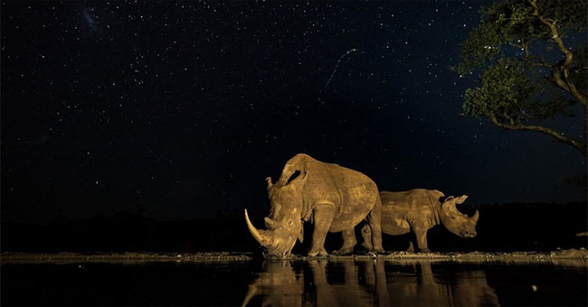 The world is magnificent through photos of National Geographic