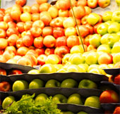 The world wastes 1.3 billion tons of food every year