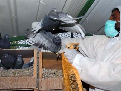 The world will lose 2,000 billion dollars because of bird flu