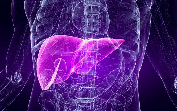 The world's fastest liver transplant