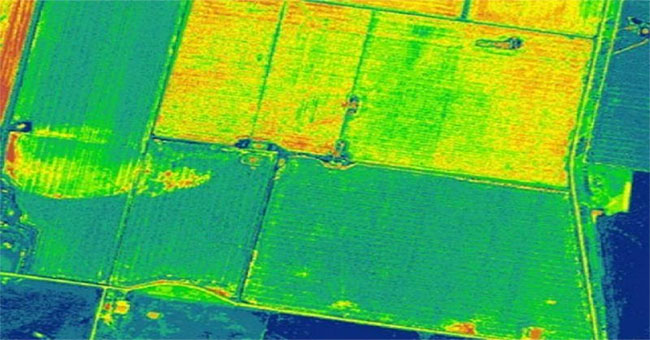 The world's first crop map from satellite imagery
